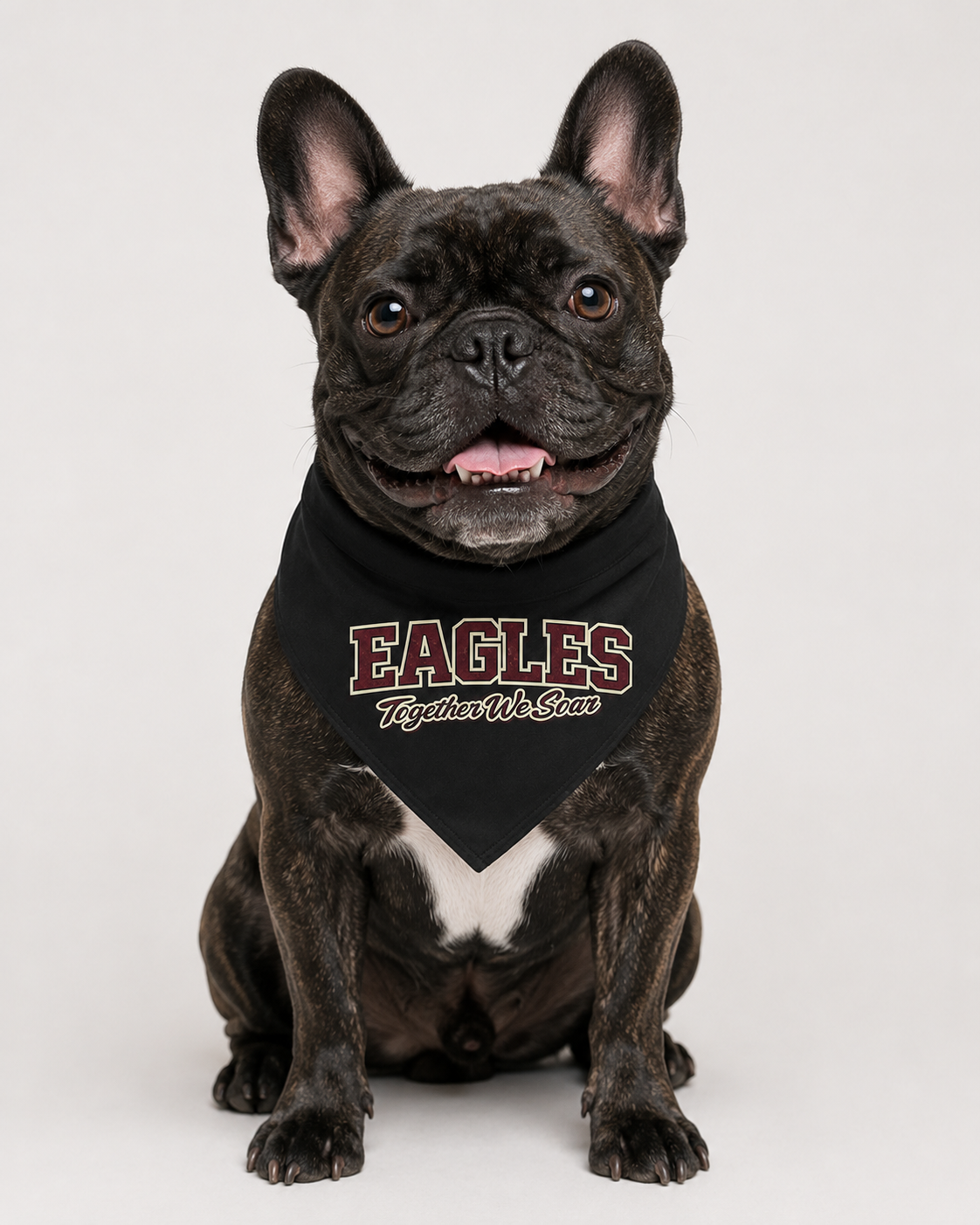 Jefferson Elementary Eagles Spirit Dog Bandana